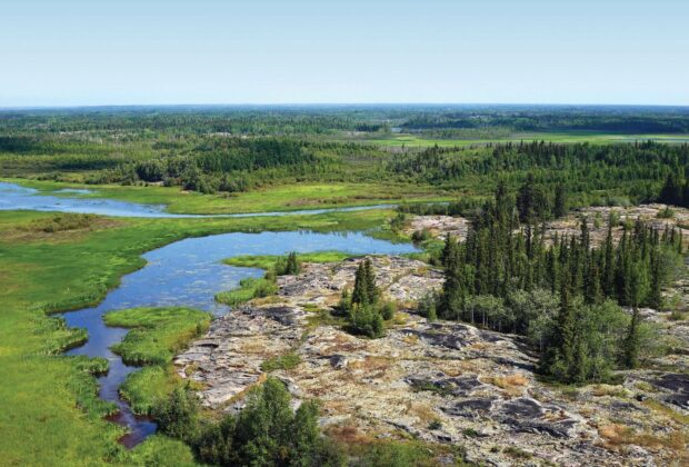 Bird’s eye view of the boreal