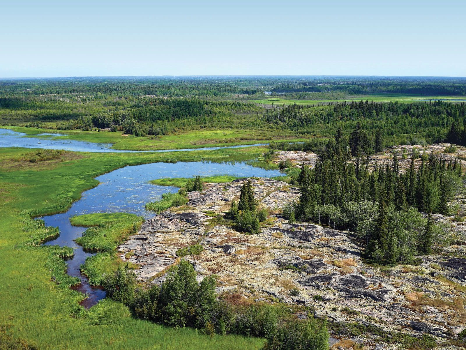 Bird’s eye view of the boreal