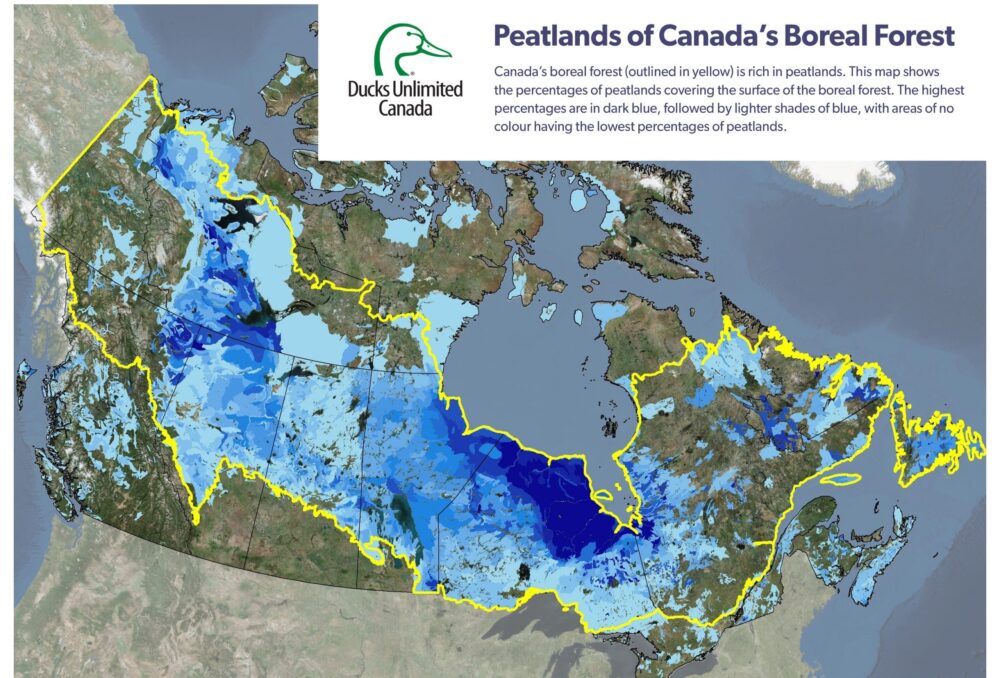 Canada has one-quarter of the world’s carbon stored in its boreal forest peatIands. DUC's National Boreal Program has been working to conserve these key, carbon-rich landscapes for twenty years.
