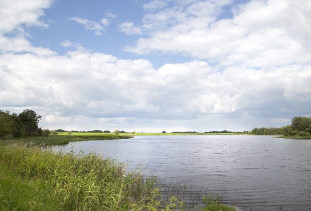 Premier Pallister puts Manitoba wetlands at the heart of Climate and Green Plan