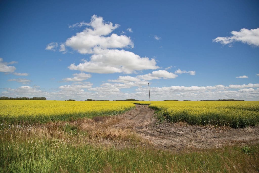 wetland drain near Quill Lakes