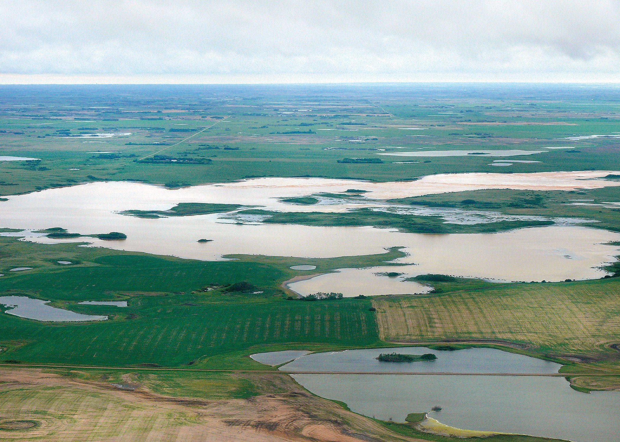 Aerial view of wetland