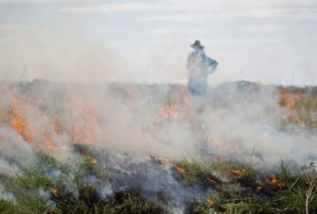 Native Plant Solutions helps solve a sodding problem