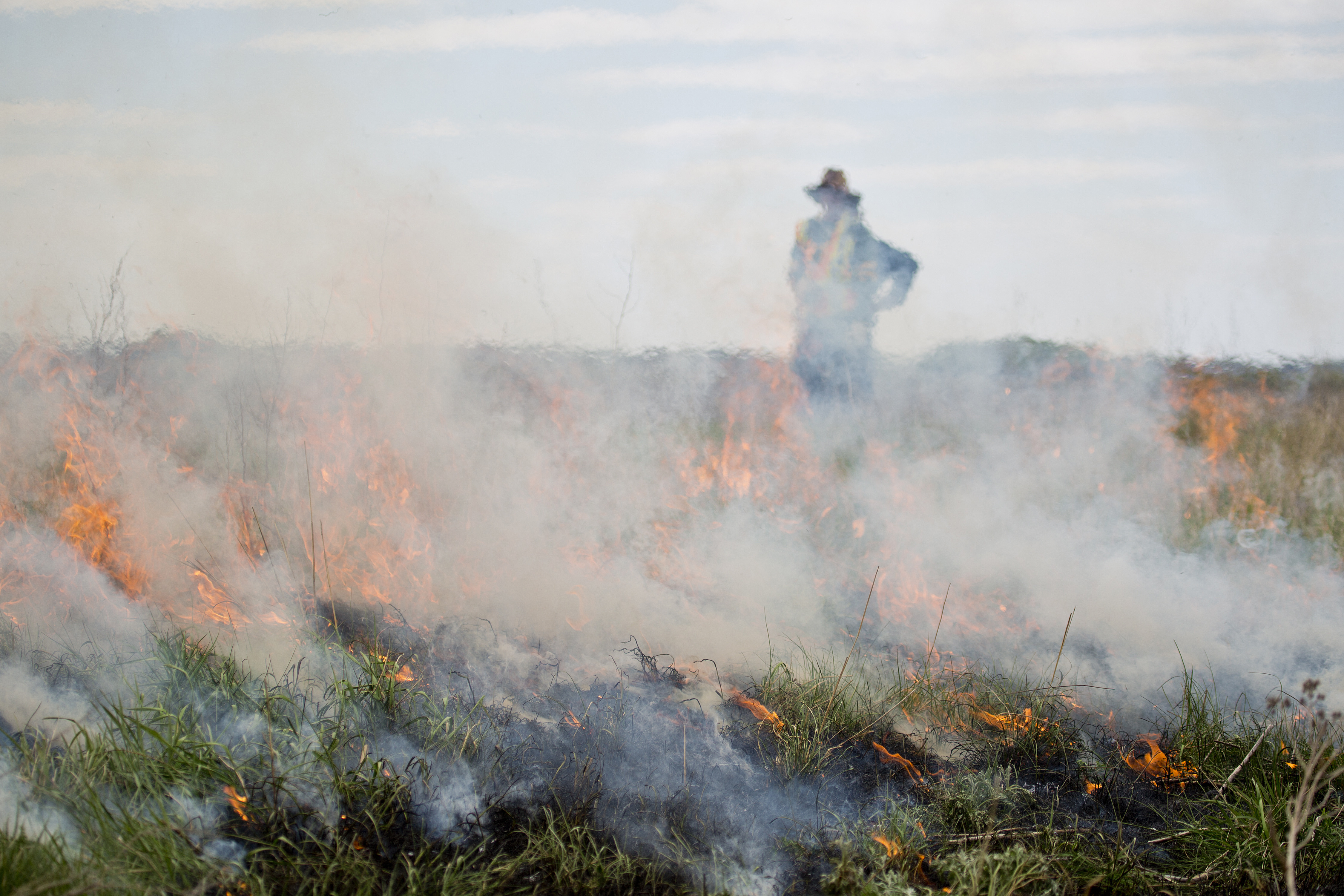Native Plant Solutions helps solve a sodding problem