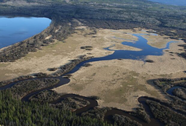 Local Family Helps Conserve Natural Wetlands