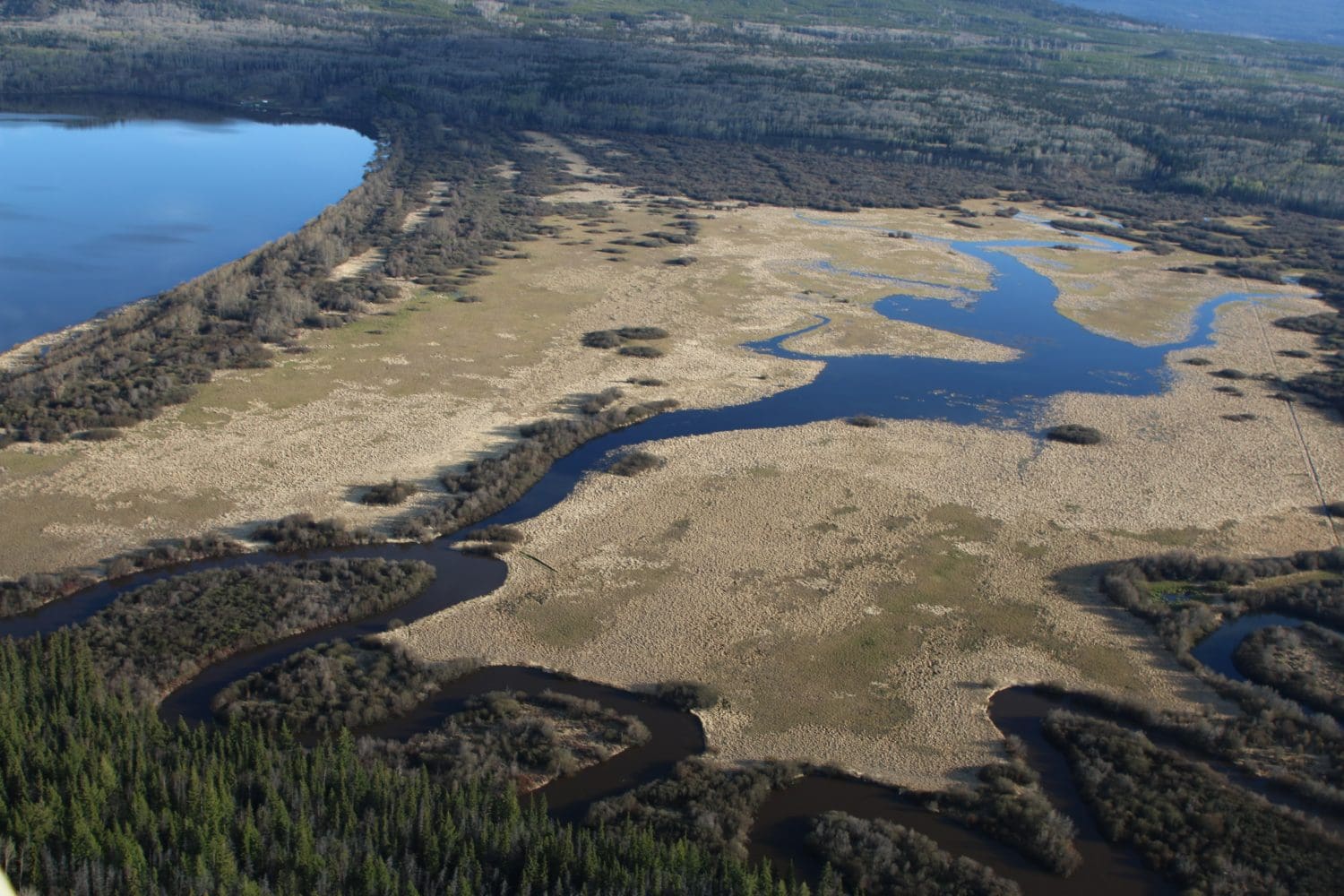 Local Family Helps Conserve Natural Wetlands