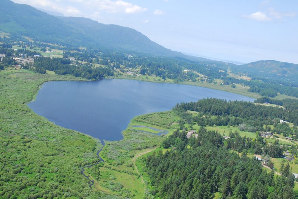 TimberWest Forest Corporation donates $25,000 to Somenos Marsh Wildlife Society for a viewing tower over Somenos Lake