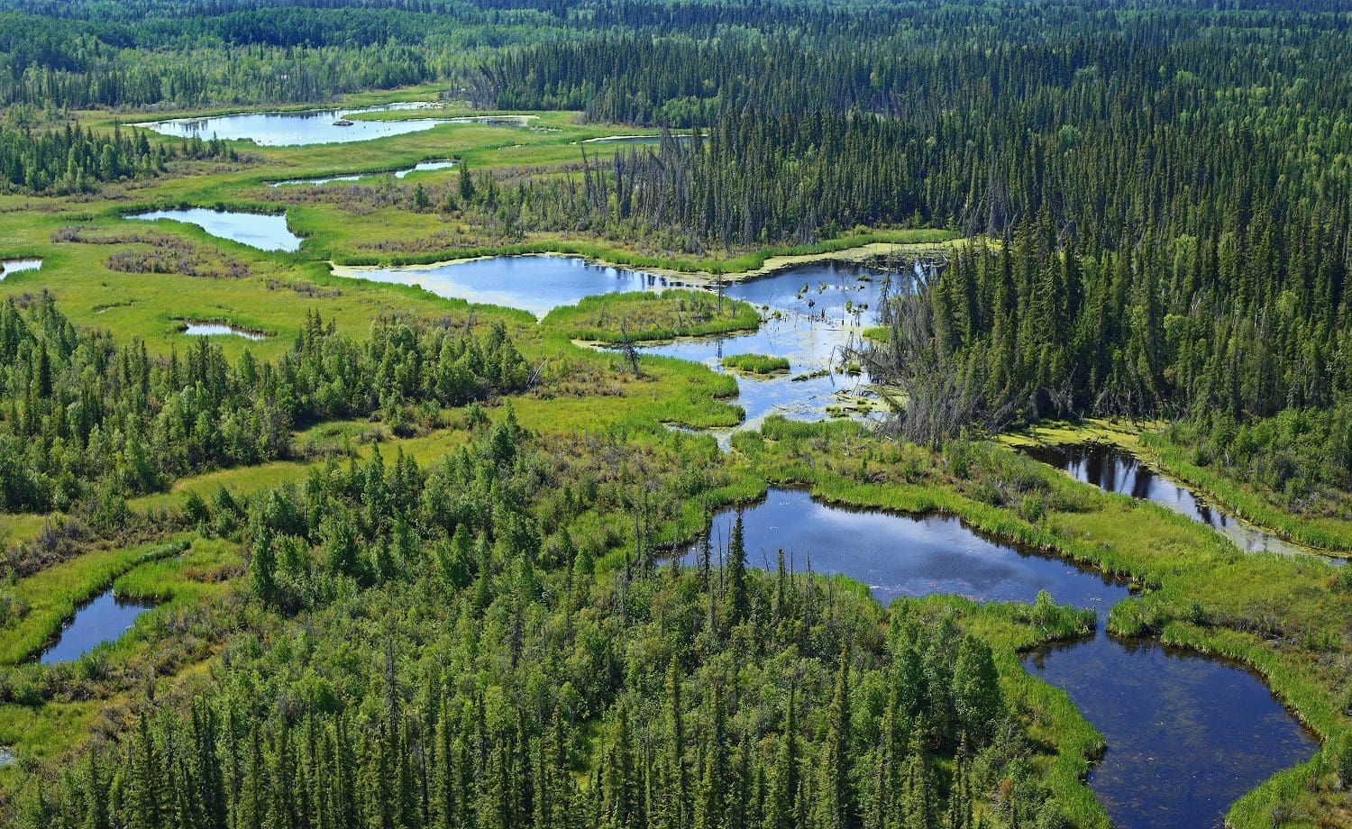 Canadians want more conservation