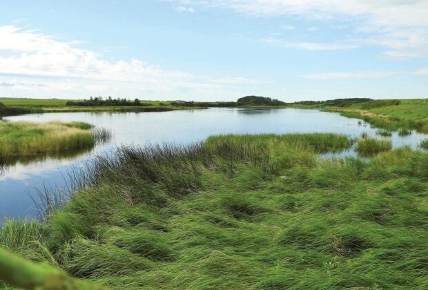 Ducks Unlimited Canada urges federal government to invest in natural areas in Budget 2018