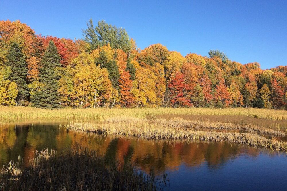 Federal Budget 2018 announces historic investment in conservation