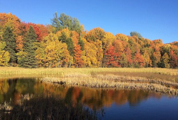 Federal Budget 2018 announces historic investment in conservation