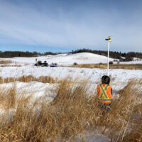 Restoring lost wetlands