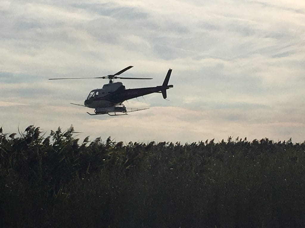 helicopter spraying phragmites