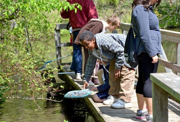 Five tips for outdoor fun with kids