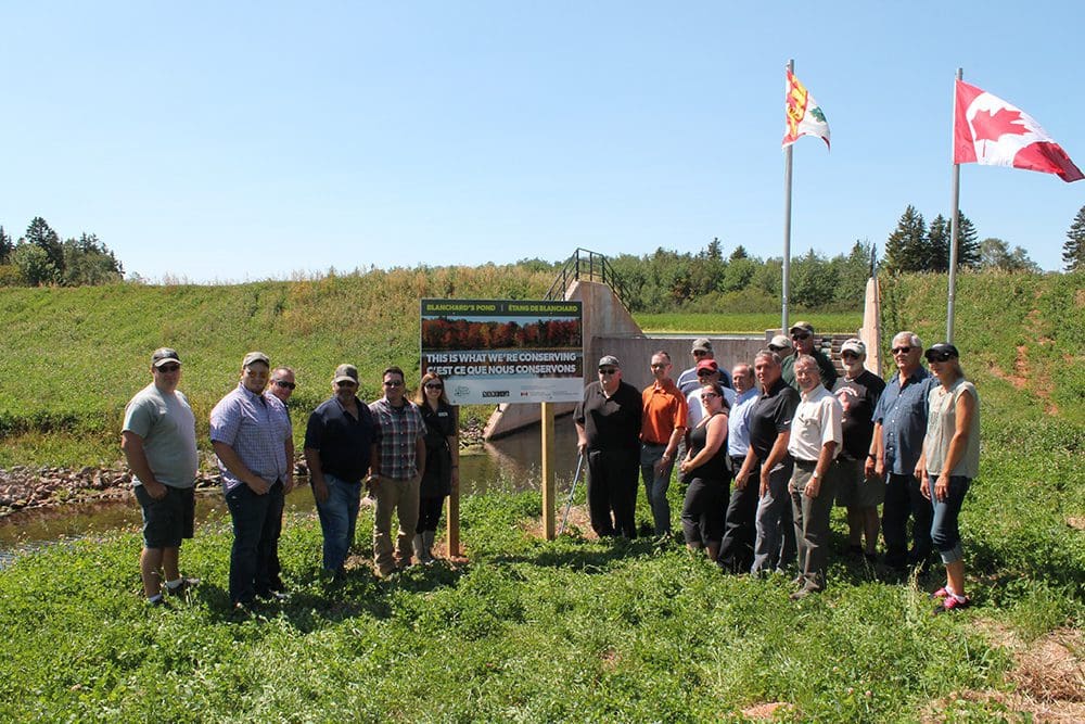 Celebrating Blanchards Marsh