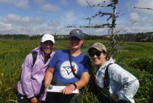 Befriending Lundigrans Marsh