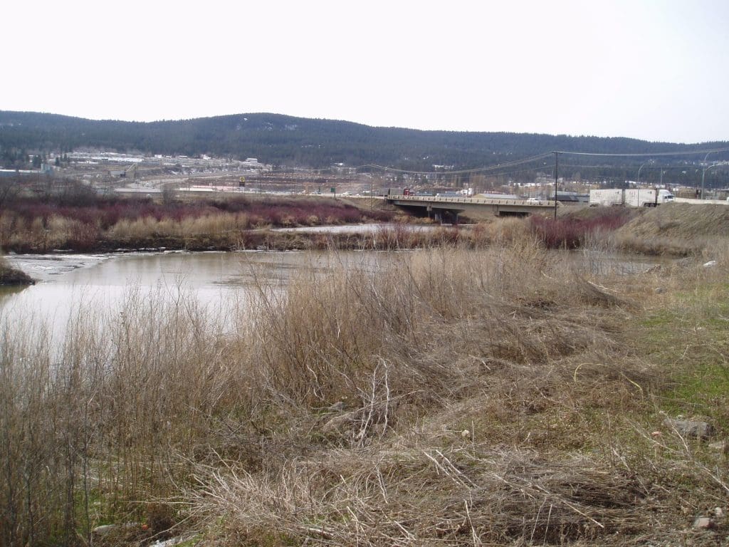 This DUC-constructed settling pond helps filter sediment from run-off before it enters 100 Mile Marsh, and continues into the watershed. 