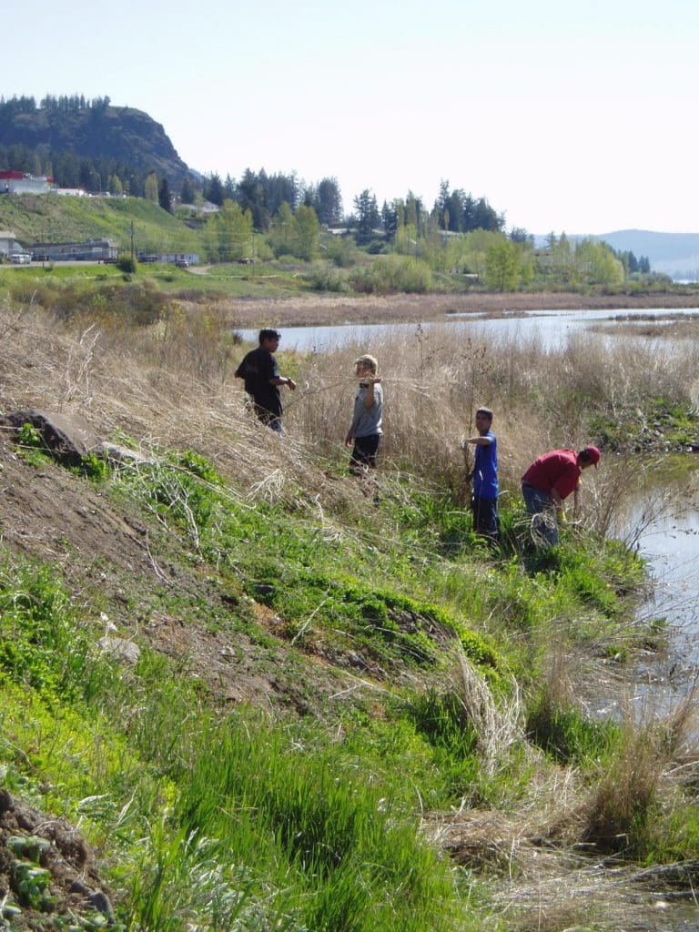 Shoreline restoration work in action. 