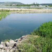 Filtering wastewater