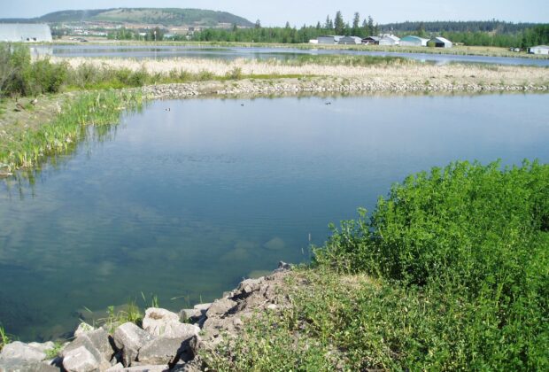 Settling into a green option to filter water