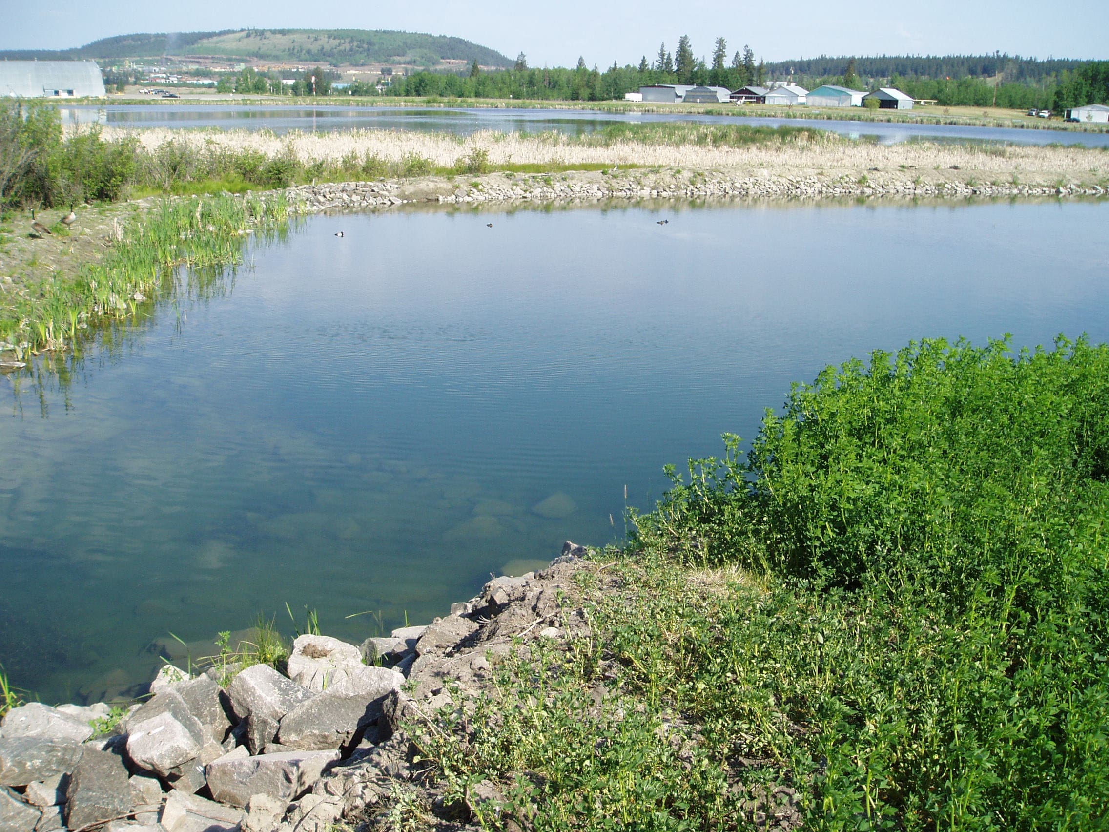 Settling into a green option to filter water