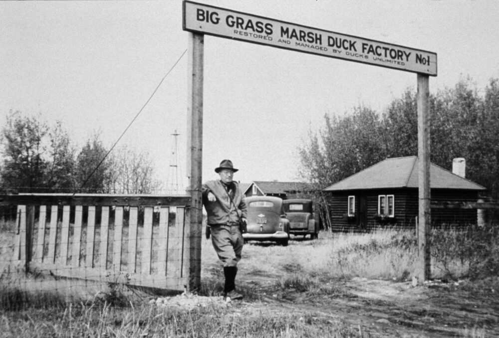 Archive photo of the sign at Big Grass Marsh, Manitoba, site of DUC's first wetland restoration project in Canada. Note that the original cabin located in the background was relocated to Oak Hammock Marsh.