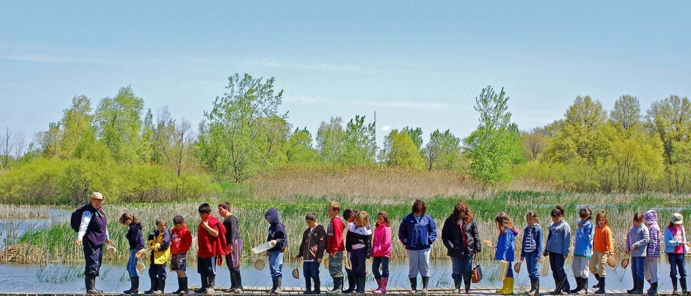 Students on a wetland field trip.