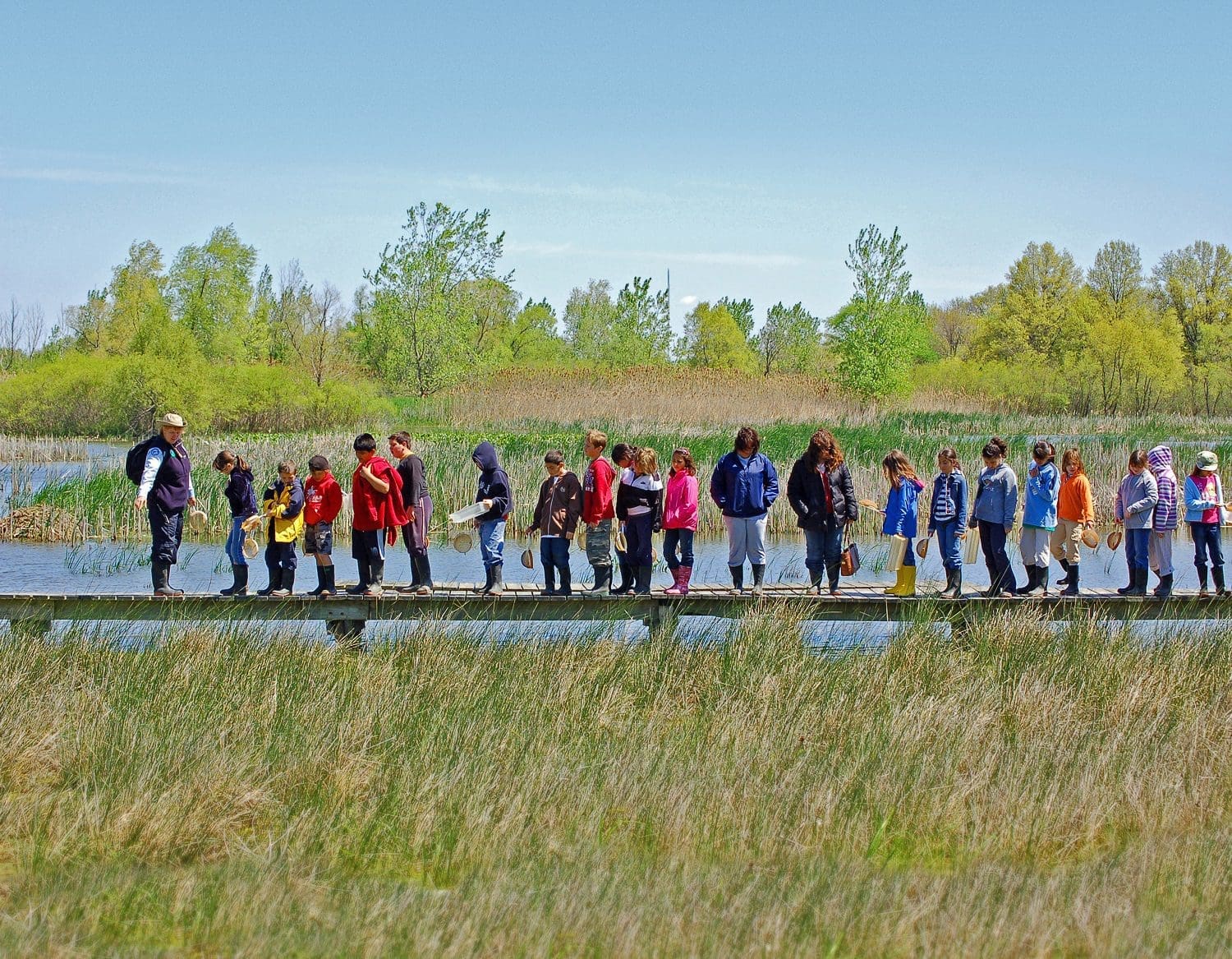 Wetland field trip