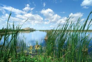 Wetlands shown to reduce signs of aging