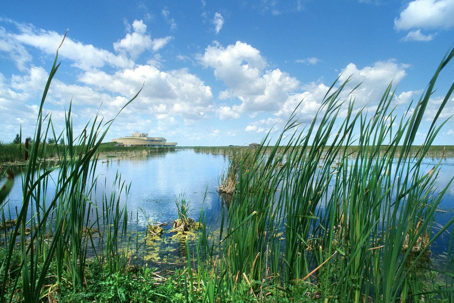 Wetlands shown to reduce signs of aging