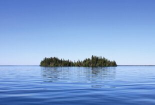 Watch: How wetlands take care of Canada’s water