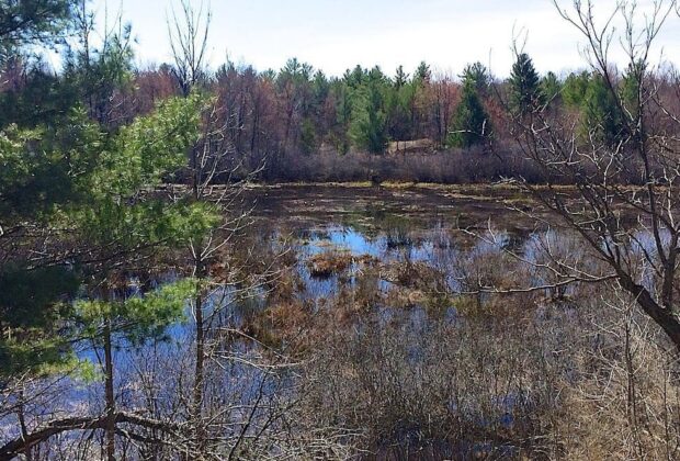 The Great Ottawa Outdoors Just Got Better