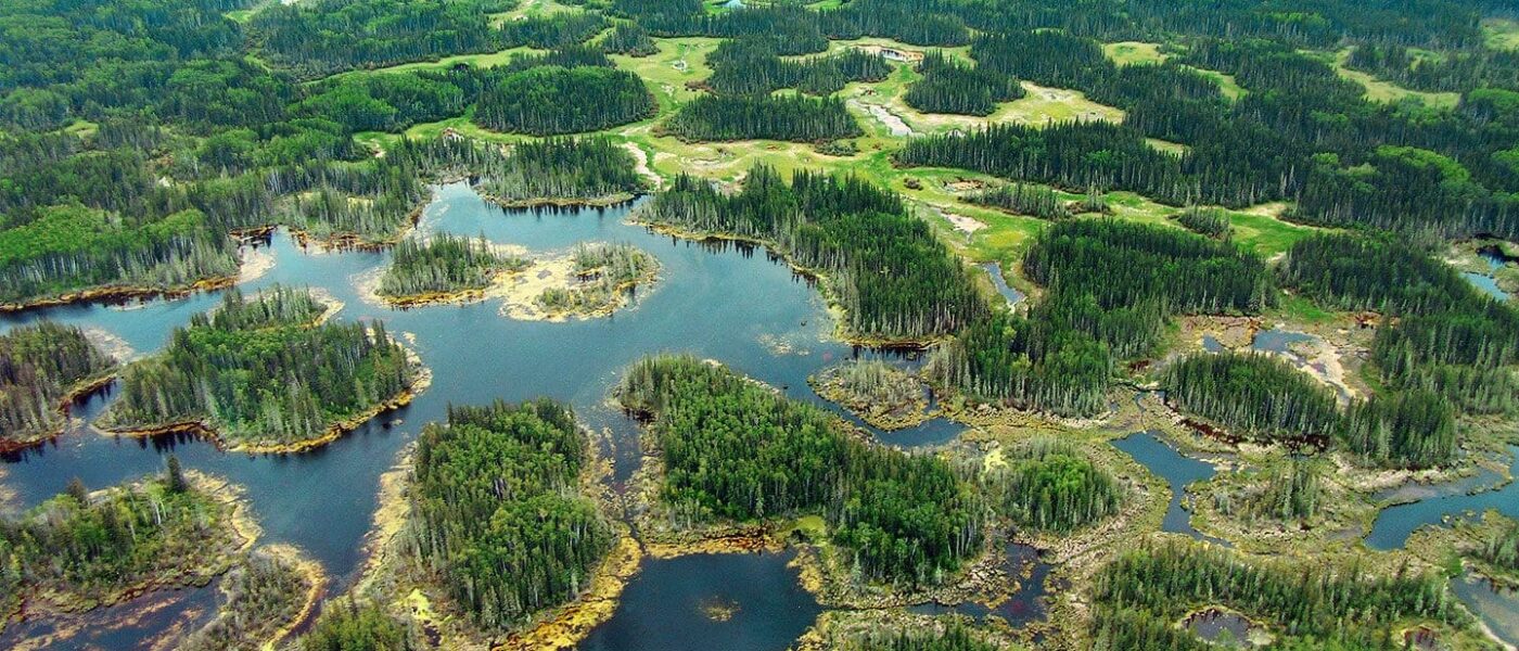 Boreal Forest