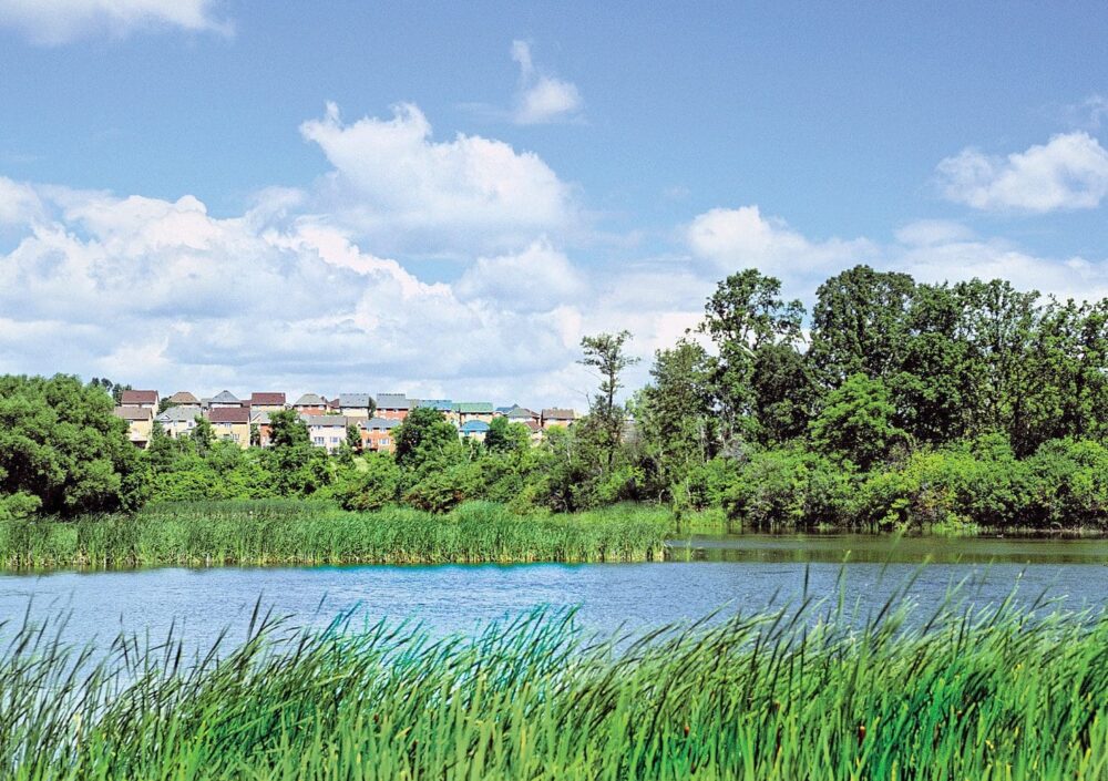 Big News for Ontario Wetlands