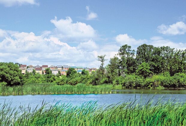 Big News for Ontario Wetlands