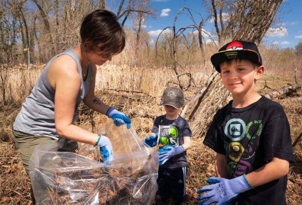 Spring clean-up plants seeds of conservation