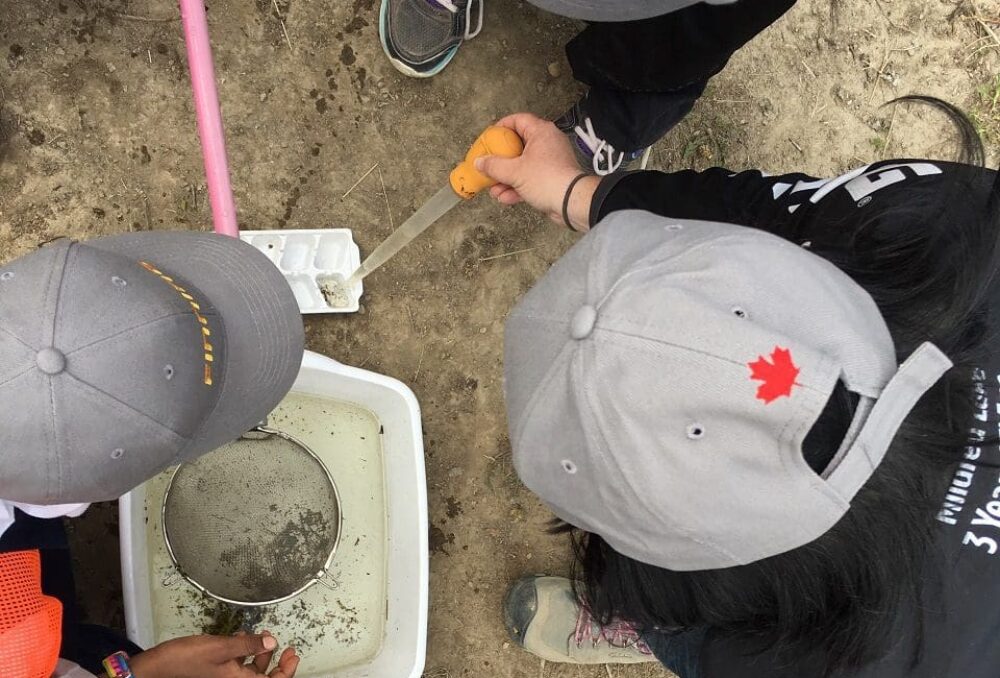 Edmonton students exploring the John E. Poole Interpretive Wetland. 