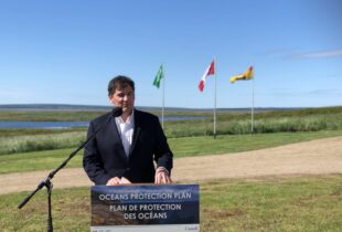 DUC receives more than $1 million in funding through federal Coastal Restoration Fund
