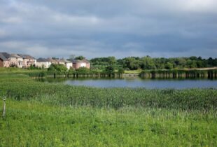 Ducks Unlimited Canada commends Government’s Fall Economic Statement that recognizes nature in Canada’s economic recovery