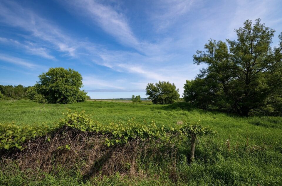 Hunting in Ontario — Ducks Unlimited Canada