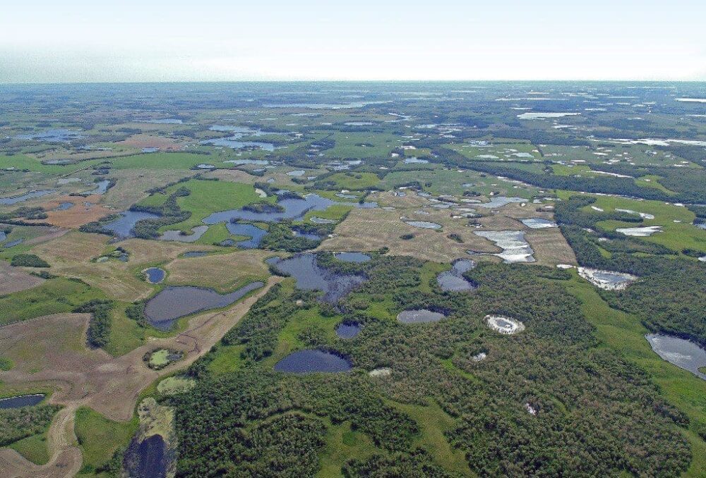Aerial view of prairie pothole wetlands in Saskatchewan. These potholes, also scattered across Alberta and Manitoba, support up to 75 per cent of North America’s breeding ducks. The new research will help inform DUC’s future conservation decisions and plans in this critical region.