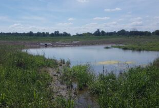 Ducks Unlimited Canada Builds Rural Wetlands that Improve Water Quality