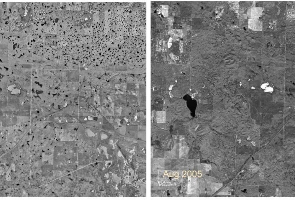 These images from the RM of Morse in the Central Missouri Coteau in Saskatchewan demonstrate dramatic wetland variability over wet (2003, left) and dry (2005, right) cycles in the Canadian prairies. The number of wetlands on the landscape can vary greatly, even over relatively short time frames. 