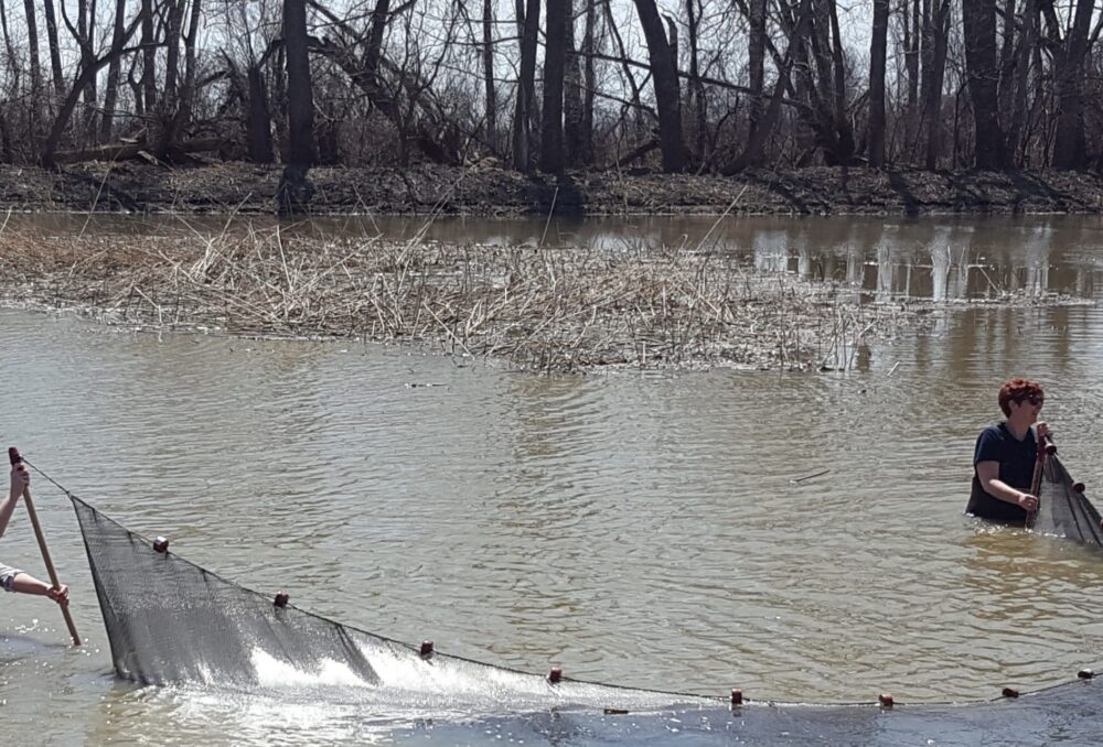 Fish survey at Buchanan Marsh.