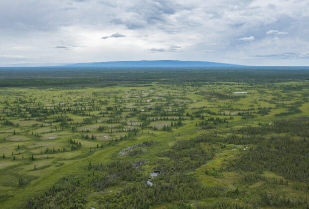 Ducks Unlimited Canada applauds the protection of critical Edéhzhíe wetlands as part of new Indigenous Protected Area