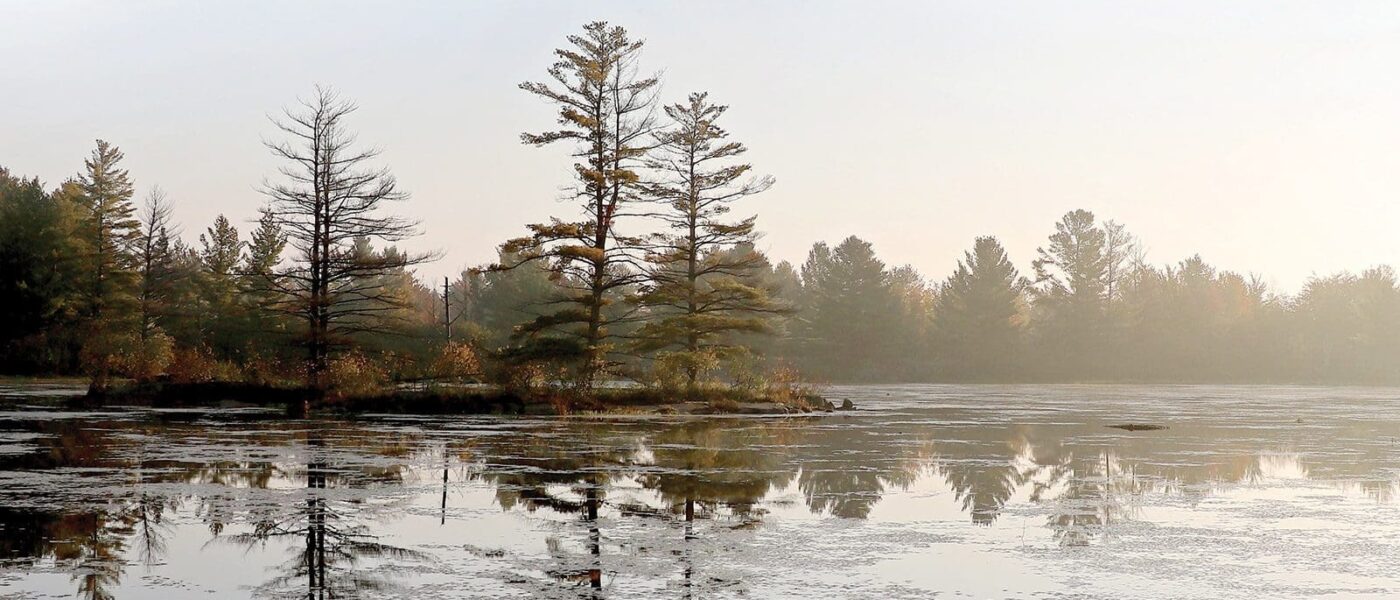 Diverse wetland and forest habitat attract wildlife and people alike.