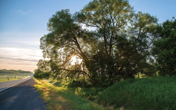 The wild landscape of the Carp Hills are a backdrop to rolling countryside and new housing developments.