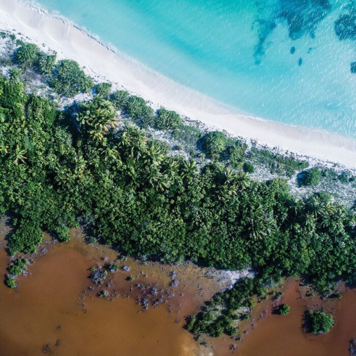 Mexico’s coastal mangrove swamps are havens for migratory birds, but increasingly under threat from intensive shrimp farming.