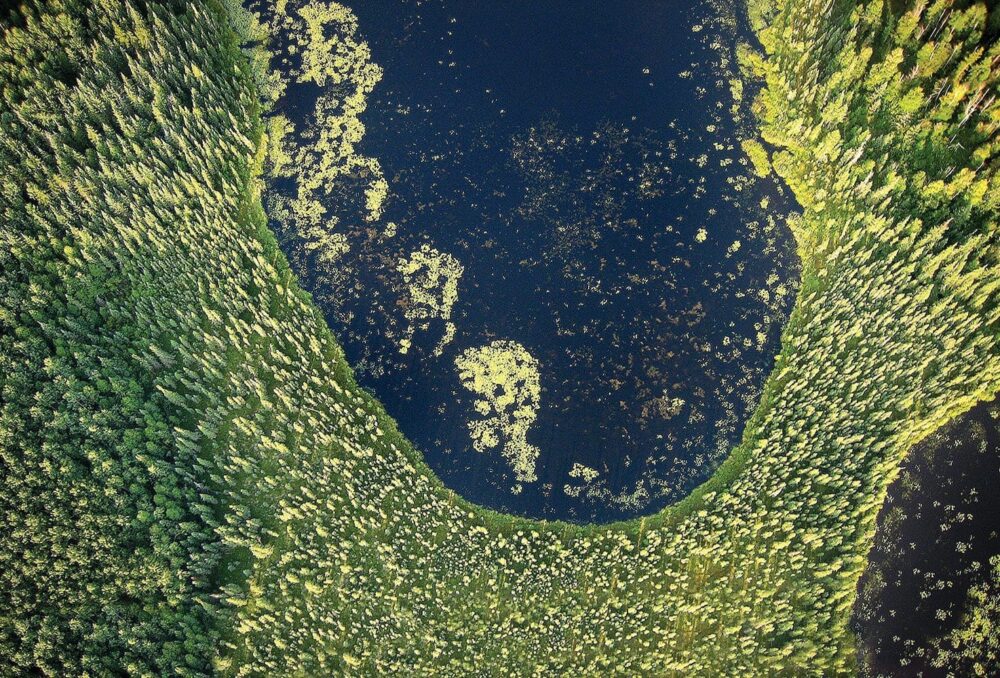 Canada’s boreal forest wetlands provide breeding habitat for waterfowl. For people, they offer employment and economic opportunities rooted in hunting, fishing, recreation and tourism.