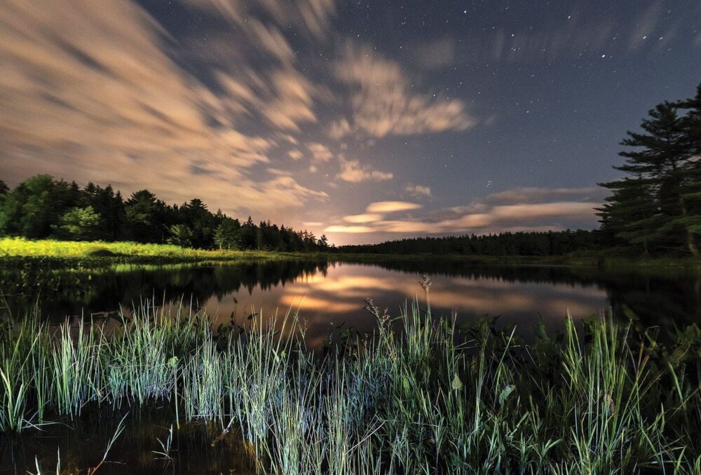A wetland in Kejimkujik National Park, Nova Scotia. Wetlands in this inland park provide habitat for species at risk like the Blanding’s turtle. Designated by Parks Canada as a dark-sky preserve, stargazers can find rare respite here from the glare of artificial light to enjoy the reflection of the moon and stars in wetland waters.